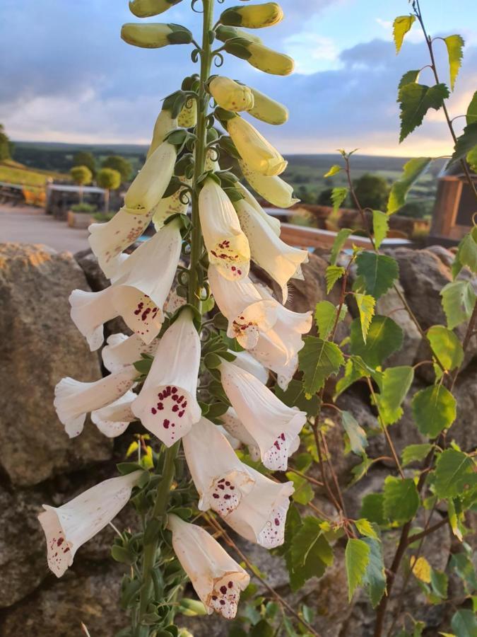 Howgill Farm Bolton Abbey Appletreewick Eksteriør bilde